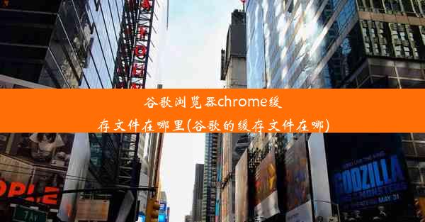 谷歌浏览器chrome缓存文件在哪里(谷歌的缓存文件在哪)