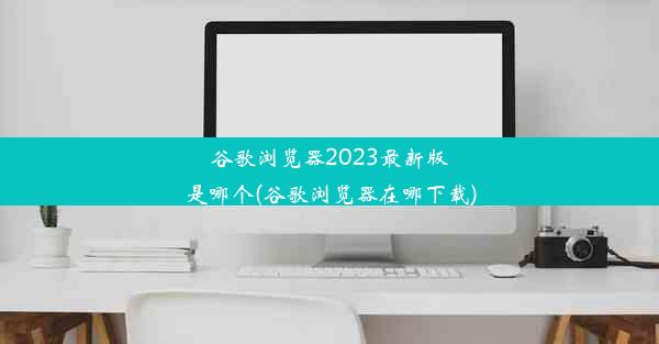 谷歌浏览器2023最新版是哪个(谷歌浏览器在哪下载)