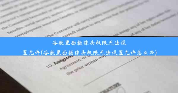 谷歌里面摄像头权限无法设置允许(谷歌里面摄像头权限无法设置允许怎么办)