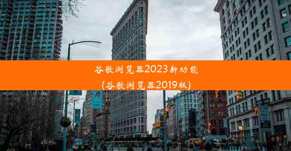 谷歌浏览器2023新功能(谷歌浏览器2019版)