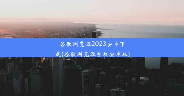 谷歌浏览器2023安卓下载(谷歌浏览器手机安卓版)