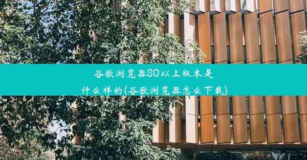 谷歌浏览器80以上版本是什么样的(谷歌浏览器怎么下载)