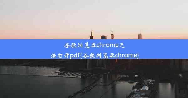 谷歌浏览器chrome无法打开pdf(谷歌浏览器chrome)