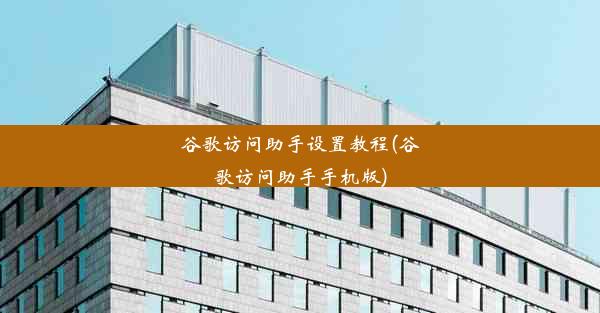 谷歌访问助手设置教程(谷歌访问助手手机版)