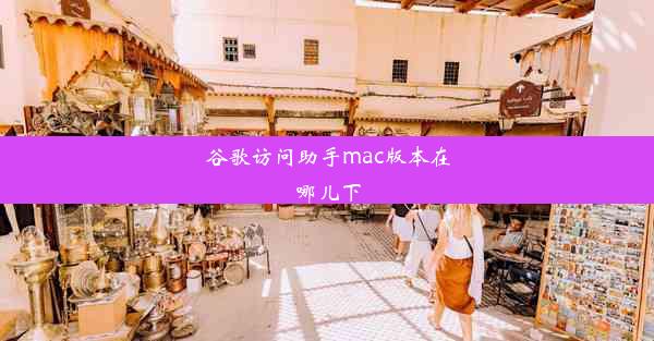 谷歌访问助手mac版本在哪儿下