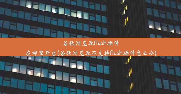 谷歌浏览器flash插件在哪里开启(谷歌浏览器不支持flash插件怎么办)