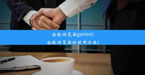 谷歌浏览器gemini(谷歌浏览器的使用方法)