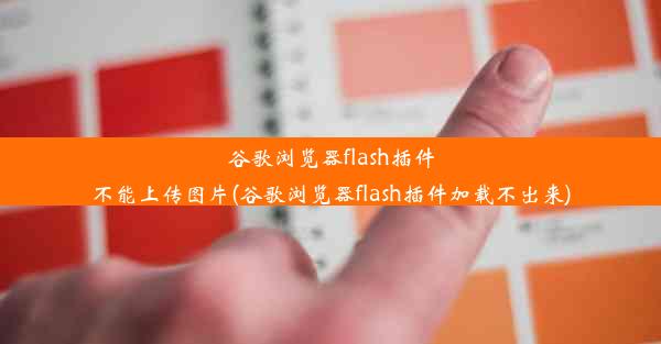 谷歌浏览器flash插件不能上传图片(谷歌浏览器flash插件加载不出来)