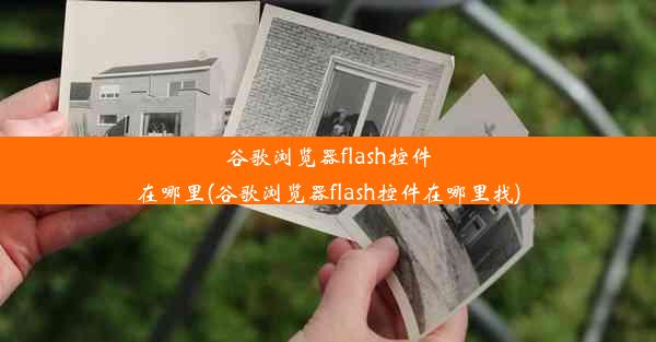 谷歌浏览器flash控件在哪里(谷歌浏览器flash控件在哪里找)