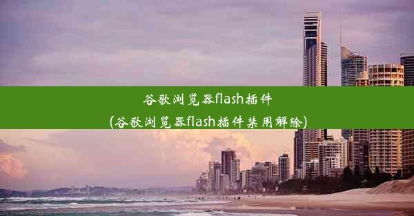 谷歌浏览器flash插件(谷歌浏览器flash插件禁用解除)