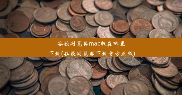 谷歌浏览器mac版在哪里下载(谷歌浏览器下载官方正版)