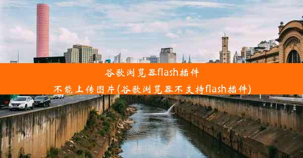 谷歌浏览器flash插件不能上传图片(谷歌浏览器不支持flash插件)