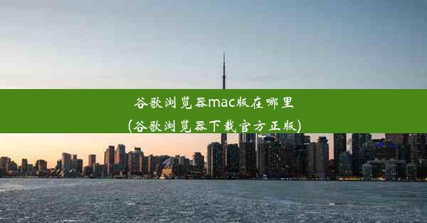 谷歌浏览器mac版在哪里(谷歌浏览器下载官方正版)