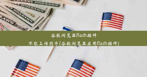 谷歌浏览器flash插件不能上传图片(谷歌浏览器启用flash插件)