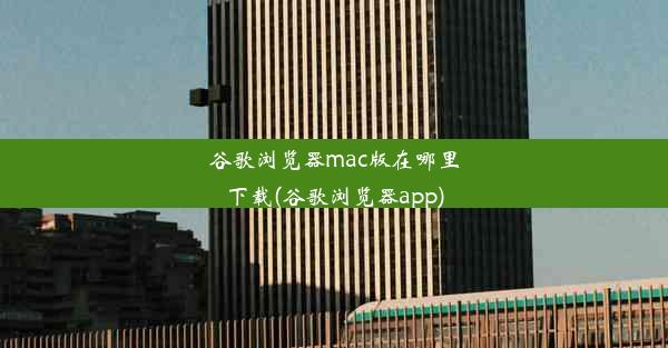 谷歌浏览器mac版在哪里下载(谷歌浏览器app)