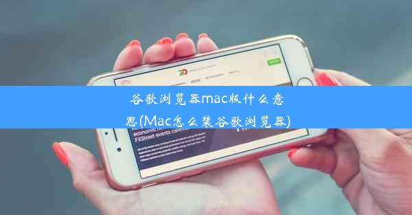 谷歌浏览器mac版什么意思(Mac怎么装谷歌浏览器)