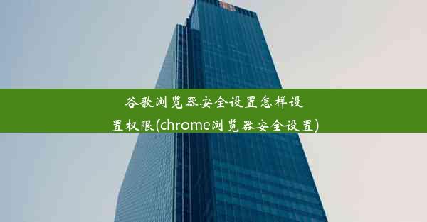 谷歌浏览器安全设置怎样设置权限(chrome浏览器安全设置)