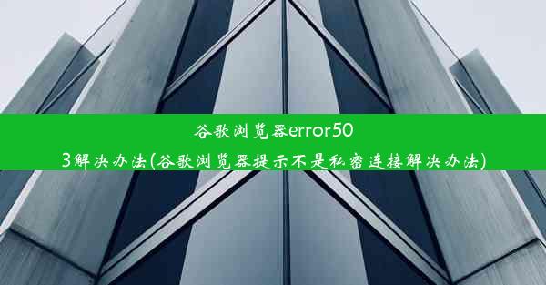 谷歌浏览器error503解决办法(谷歌浏览器提示不是私密连接解决办法)