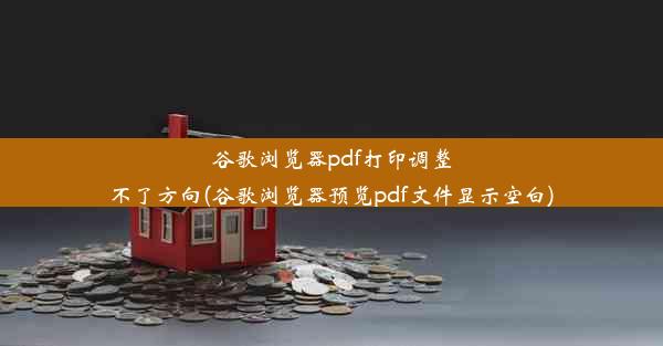 谷歌浏览器pdf打印调整不了方向(谷歌浏览器预览pdf文件显示空白)