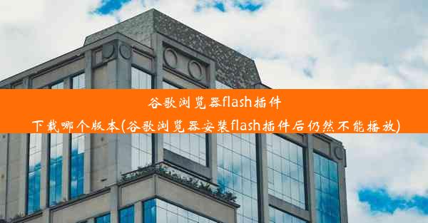 谷歌浏览器flash插件下载哪个版本(谷歌浏览器安装flash插件后仍然不能播放)