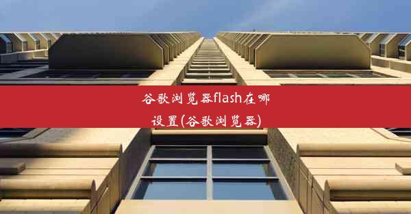 谷歌浏览器flash在哪设置(谷歌浏览器)