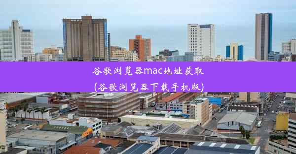 谷歌浏览器mac地址获取(谷歌浏览器下载手机版)