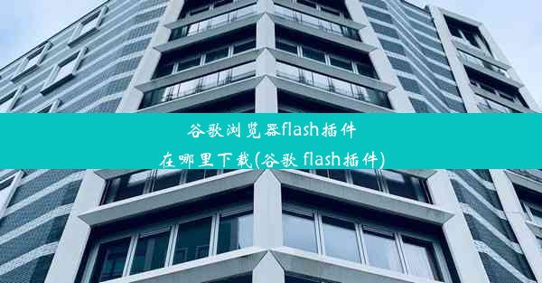 谷歌浏览器flash插件在哪里下载(谷歌 flash插件)