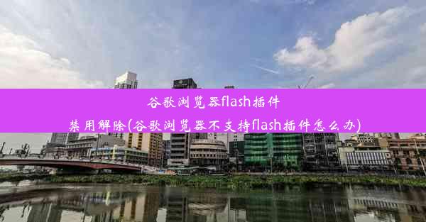 谷歌浏览器flash插件禁用解除(谷歌浏览器不支持flash插件怎么办)