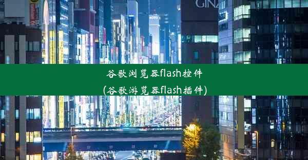 谷歌浏览器flash控件(谷歌游览器flash插件)