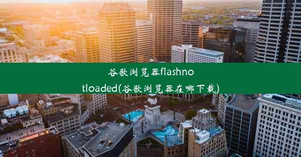 谷歌浏览器flashnotloaded(谷歌浏览器在哪下载)