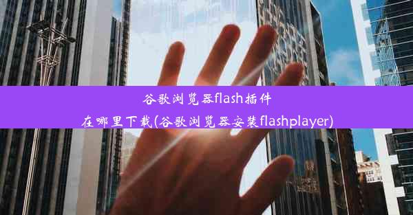 谷歌浏览器flash插件在哪里下载(谷歌浏览器安装flashplayer)