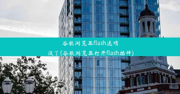 谷歌浏览器flash选项没了(谷歌浏览器打开flash插件)