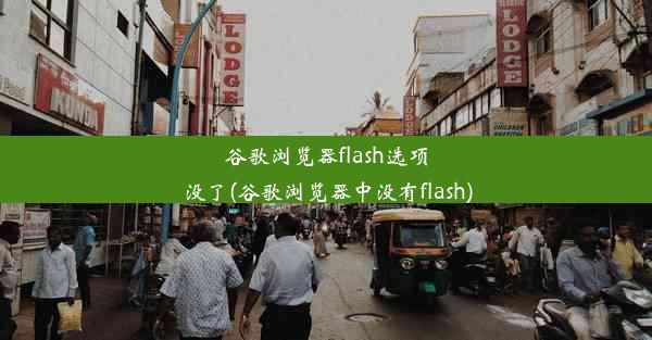 谷歌浏览器flash选项没了(谷歌浏览器中没有flash)