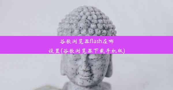 谷歌浏览器flash在哪设置(谷歌浏览器下载手机版)