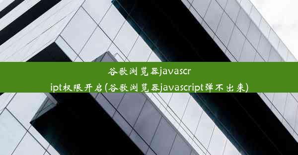 谷歌浏览器javascript权限开启(谷歌浏览器javascript弹不出来)