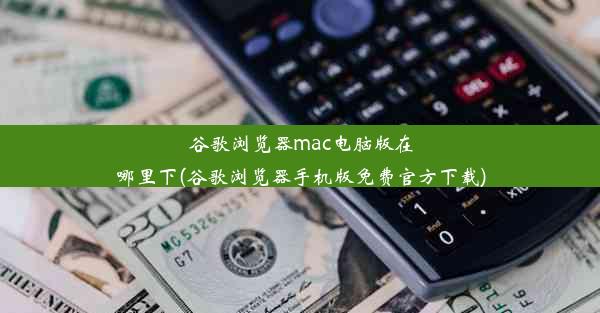 谷歌浏览器mac电脑版在哪里下(谷歌浏览器手机版免费官方下载)