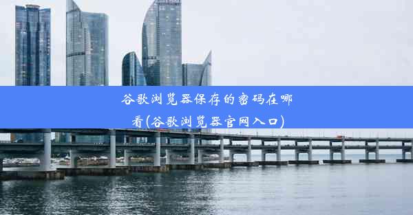 谷歌浏览器保存的密码在哪看(谷歌浏览器官网入口)