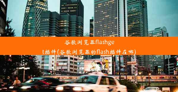 谷歌浏览器flashget插件(谷歌浏览器的flash插件在哪)