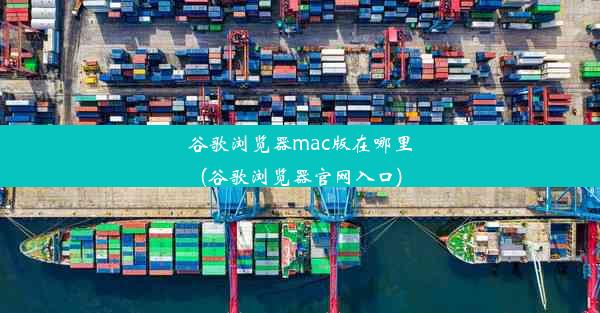 谷歌浏览器mac版在哪里(谷歌浏览器官网入口)