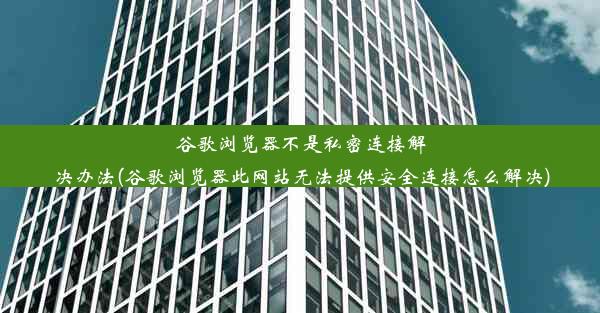 谷歌浏览器不是私密连接解决办法(谷歌浏览器此网站无法提供安全连接怎么解决)