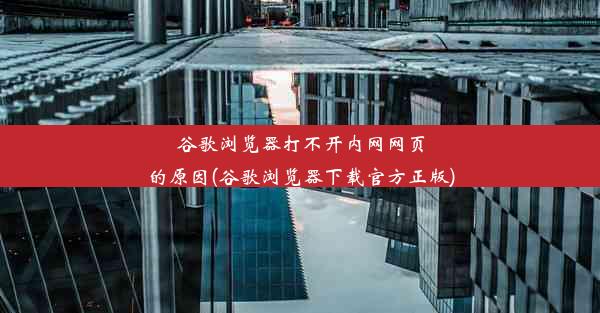 谷歌浏览器打不开内网网页的原因(谷歌浏览器下载官方正版)