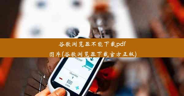 谷歌浏览器不能下载pdf图片(谷歌浏览器下载官方正版)