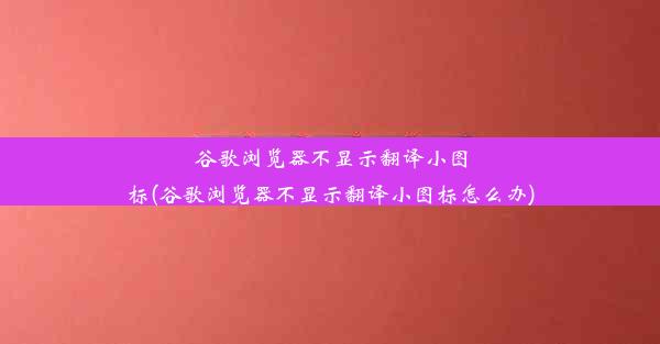 谷歌浏览器不显示翻译小图标(谷歌浏览器不显示翻译小图标怎么办)