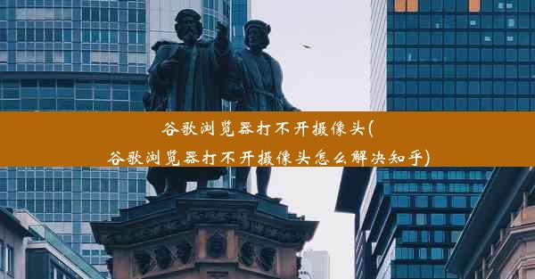 谷歌浏览器打不开摄像头(谷歌浏览器打不开摄像头怎么解决知乎)