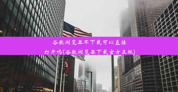 谷歌浏览器不下载可以直接打开吗(谷歌浏览器下载官方正版)