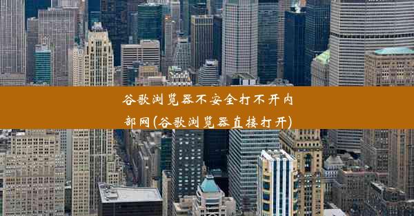 谷歌浏览器不安全打不开内部网(谷歌浏览器直接打开)