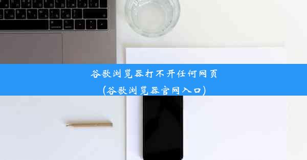 谷歌浏览器打不开任何网页(谷歌浏览器官网入口)