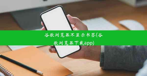 谷歌浏览器不显示书签(谷歌浏览器下载app)