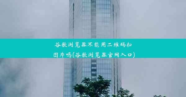 谷歌浏览器不能用二维码扫图片吗(谷歌浏览器官网入口)