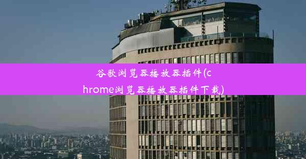 谷歌浏览器播放器插件(chrome浏览器播放器插件下载)